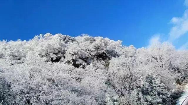 救援外星小怪
