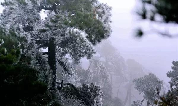 哪种男人是你的坚强后盾